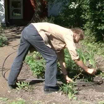 Vanding af staudebed Vanding af staudebed